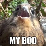 My God | MY GOD | image tagged in my god bird | made w/ Imgflip meme maker