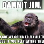 Bugs | image tagged in dammit jim | made w/ Imgflip meme maker