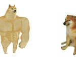 Strong and weak dog Meme Generator - Imgflip