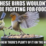 Take this as an economy lesson: don't start a fight for resources, make the competition irrelevant. | THESE BIRDS WOULDN'T BE FIGHTING FOR FOOD; IF THEY KNEW THERE'S PLENTY OF IT ON THE NEXT POLE | image tagged in seeds bird | made w/ Imgflip meme maker