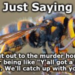 hornets | Just Saying; Shout out to the murder hornets for being like "Y'all got a lot going on. We'll catch up with you later." | image tagged in hornets | made w/ Imgflip meme maker