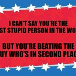 Campaign Sign | I CAN'T SAY YOU'RE THE MOST STUPID PERSON IN THE WORLD; BUT YOU'RE BEATING THE GUY WHO'S IN SECOND PLACE | image tagged in campaign sign | made w/ Imgflip meme maker