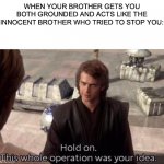 This whole operation was your idea | WHEN YOUR BROTHER GETS YOU BOTH GROUNDED AND ACTS LIKE THE INNOCENT BROTHER WHO TRIED TO STOP YOU: | image tagged in this whole operation was your idea | made w/ Imgflip meme maker