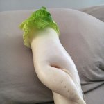 Seductive radish 7