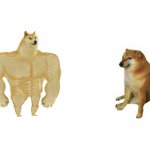 Swole Doge VS Cheem (big version) | image tagged in swole doge vs cheem big version | made w/ Imgflip meme maker