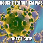 Coronavirus | YOU THOUGHT TERRORISM WAS BAD? THAT'S CUTE | image tagged in coronavirus,corona virus,corona,covid-19,covid19,covid | made w/ Imgflip meme maker