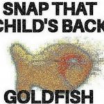 snap that child's back