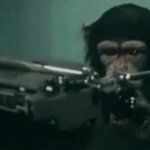 Monkey Typing GIF Template