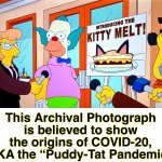 On to the next one | This Archival Photograph is believed to show the origins of COVID-20, AKA the “Puddy-Tat Pandemic” | image tagged in pandemic,covid-19,coronavirus,memes,cats,in the future | made w/ Imgflip meme maker