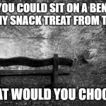 Snackies from the Past | IF YOU COULD SIT ON A BENCH WITH ANY SNACK TREAT FROM THE PAST; WHAT WOULD YOU CHOOSE? | image tagged in black and white bench | made w/ Imgflip meme maker