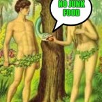 Adam and Eve | NO JUNK
FOOD | image tagged in adam and eve | made w/ Imgflip meme maker