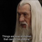 Gandalf Cannot be undone meme