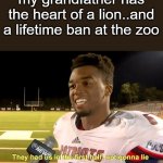 do you get it? | my grandfather has the heart of a lion..and a lifetime ban at the zoo | image tagged in they had us in the first half,memes | made w/ Imgflip meme maker