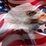 eagle us/confederate flag