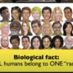 one race; human race