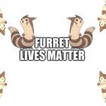 Furret Lives Matter meme