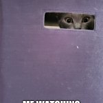 Porch drop-off | ME WATCHING DELIVERIES BEING DROP OFF ON MY PORCH | image tagged in cat in a bin | made w/ Imgflip meme maker