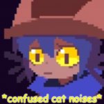 confused cat noises meme