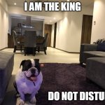 Homer the king | I AM THE KING; DO NOT DISTURB | image tagged in homer | made w/ Imgflip meme maker