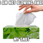 The long-awaited Hamilton sequel | I  AM  NOT  BLOWING  AWAY; MY  SNOT | image tagged in kleenex | made w/ Imgflip meme maker