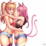 Lesbian cats