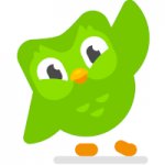 Duolingo bird high five meme