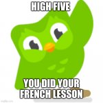 Duolingo bird high five | HIGH FIVE; YOU DID YOUR FRENCH LESSON | image tagged in duolingo bird high five,i dont have to kill u | made w/ Imgflip meme maker
