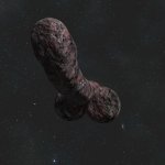 Penis astroid