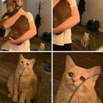 Crying cat comic meme
