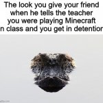 Glaring Gator | The look you give your friend
when he tells the teacher you were playing Minecraft in class and you get in detention | image tagged in glaring gator,memes | made w/ Imgflip meme maker