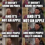 Get the Expert: SpongeBob! | IT DOESN'T GROW ON PINES; IT DOESN'T GROW ON PINES; AND IT'S NOT AN APPLE; AND IT'S NOT AN APPLE; AND MOST PEOPLE CALL IT ANANAS; AND MOST PEOPLE CALL IT ANANAS; SO IT'S AN ANANAS, NOT A PINEAPPLE; IT'S A PINEAPPLE AND IT BELONGS ON PIZZA | image tagged in friends joey teached french,memes | made w/ Imgflip meme maker