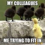 Excluded | MY COLLEAGUES; ME TRYING TO FIT IN | image tagged in excluded | made w/ Imgflip meme maker