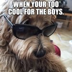 When your to cool for the boys. | WHEN YOUR TOO COOL FOR THE BOYS. | image tagged in when your to cool for the boys | made w/ Imgflip meme maker