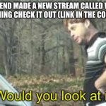 Plz look at it | MY FRIEND MADE A NEW STREAM CALLED WHY IS THAT A THING CHECK IT OUT (LINK IN THE COMMENTS); Would you look at it | image tagged in just look at it | made w/ Imgflip meme maker