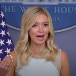 Kayleigh McEnany Not Rush To Judgement Like Trump Central Park 5