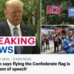 Flying Confederate Flag Freedom Of Speech As Is Kneeling