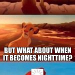 titles are overrated | EVERYWHERE THE LIGHT TOUCHES IS OUR KINGDOM; BUT WHAT ABOUT WHEN IT BECOMES NIGHTTIME? | image tagged in simba | made w/ Imgflip meme maker