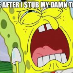 Spongebob Yelling | ME AFTER I STUB MY DAMN TOE | image tagged in spongebob yelling | made w/ Imgflip meme maker