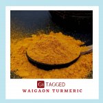 GI TAGGED WAIGAON TURMERIC