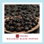 GI TAGGED MALABAR BLACK PEPPER