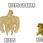 HTTPS go brrrrr | HTTPS GO BRRR; HTTP; HTTPS | image tagged in doggo and cheems | made w/ Imgflip meme maker