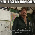 True | WHEN I LOSE MY IRON GOLEM: | image tagged in im never gonna financially recover from this,memes,iron golem,minecraft,fun | made w/ Imgflip meme maker