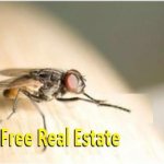 It's free real estate Fly