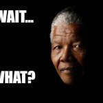 The Mandela Effect | WAIT... WHAT? | image tagged in mandela,mandela effect,nelson mandela,funny,funny memes,today i learned | made w/ Imgflip meme maker