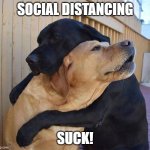 social distancing | SOCIAL DISTANCING; SUCK! | image tagged in emergency hug | made w/ Imgflip meme maker