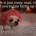 Chihuahua Bubble Bath | Life is just crazy, man. One moment you're just fartin up a storm; And the next moment, your friend is unconscious. | image tagged in chihuahua bubble bath,farting,fart,doggo,funny memes | made w/ Imgflip meme maker