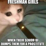 freshman girl problems | FRESHMAN GIRLS; WHEN THEIR SENIOR BF DUMPS THEM FOR A PROSTITUTE | image tagged in sad juul cat | made w/ Imgflip meme maker