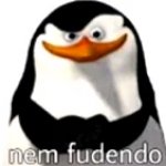 nem fudendo