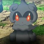 surprised marshadow