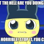 Angry Mametchi | WHAT THE HELL ARE YOU DOING?!?!? THAT'S HORRIBLE! STOP IT, YOU CREEP!!! | image tagged in angry mametchi,yandere simulator,senpai | made w/ Imgflip meme maker